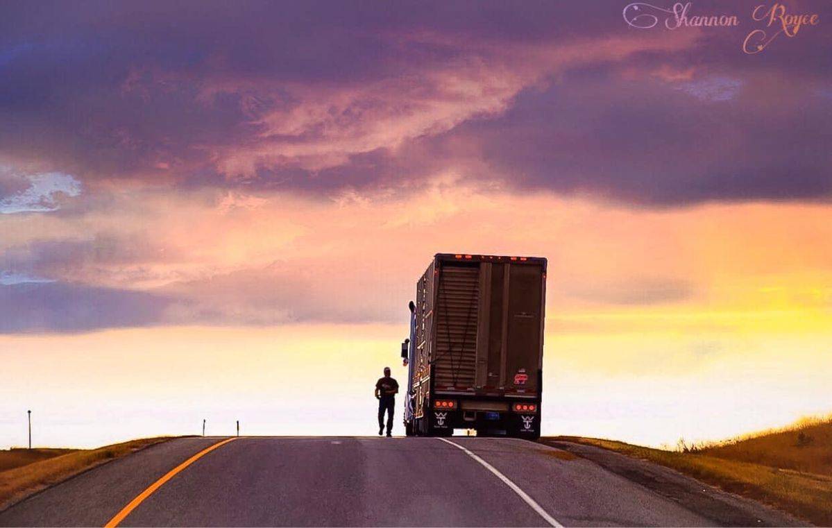 innovacion logistica